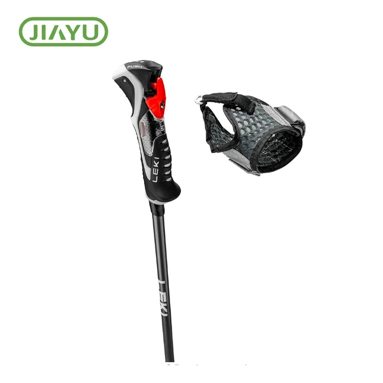 Carbon Silk Prinda Ski Pole